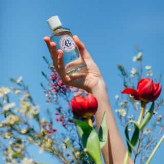 Fleur de Figuier Eau Parfumée Bienfaisante