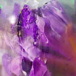 Feuille de Thé Eau Parfumée Bienfaisante