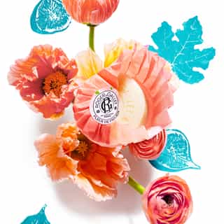 Fleur de Figuier Coffret Savons Bienfaisants
