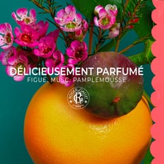 Fleur de Figuier Lait Corps Bienfaisant