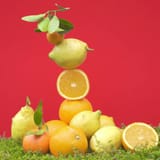 Bois d'Orange Crème Mains Bienfaisante