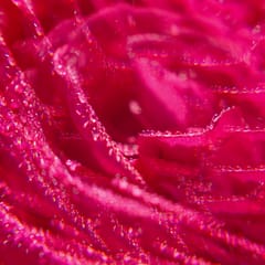 Rose Eau Parfumée Bienfaisante
