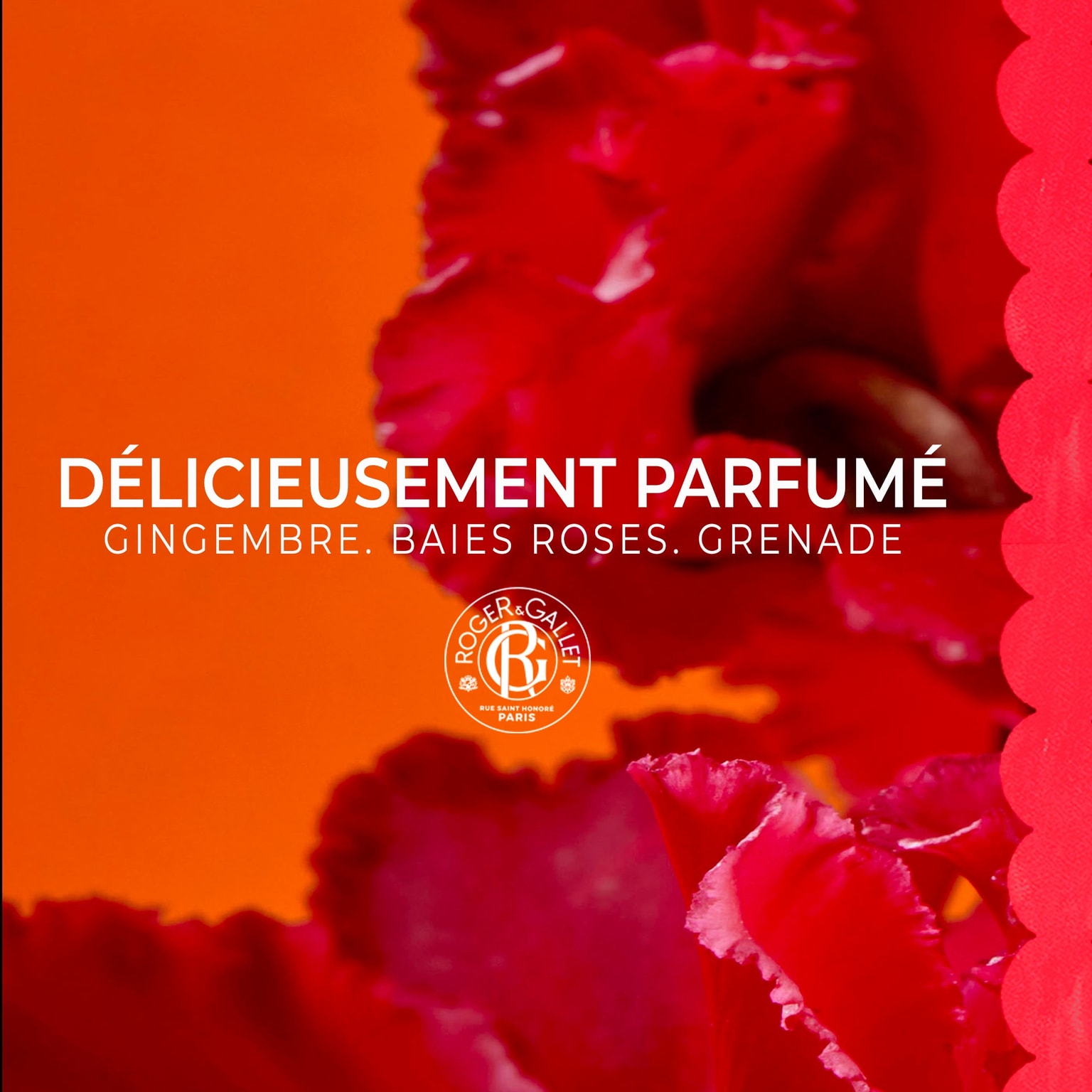 Gingembre Rouge Lait Corps Bienfaisant
