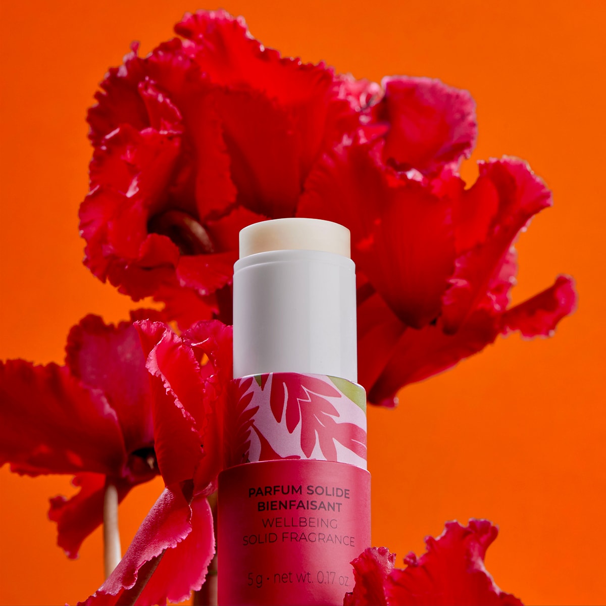 Gingembre Rouge Parfum Solide Bienfaisant
