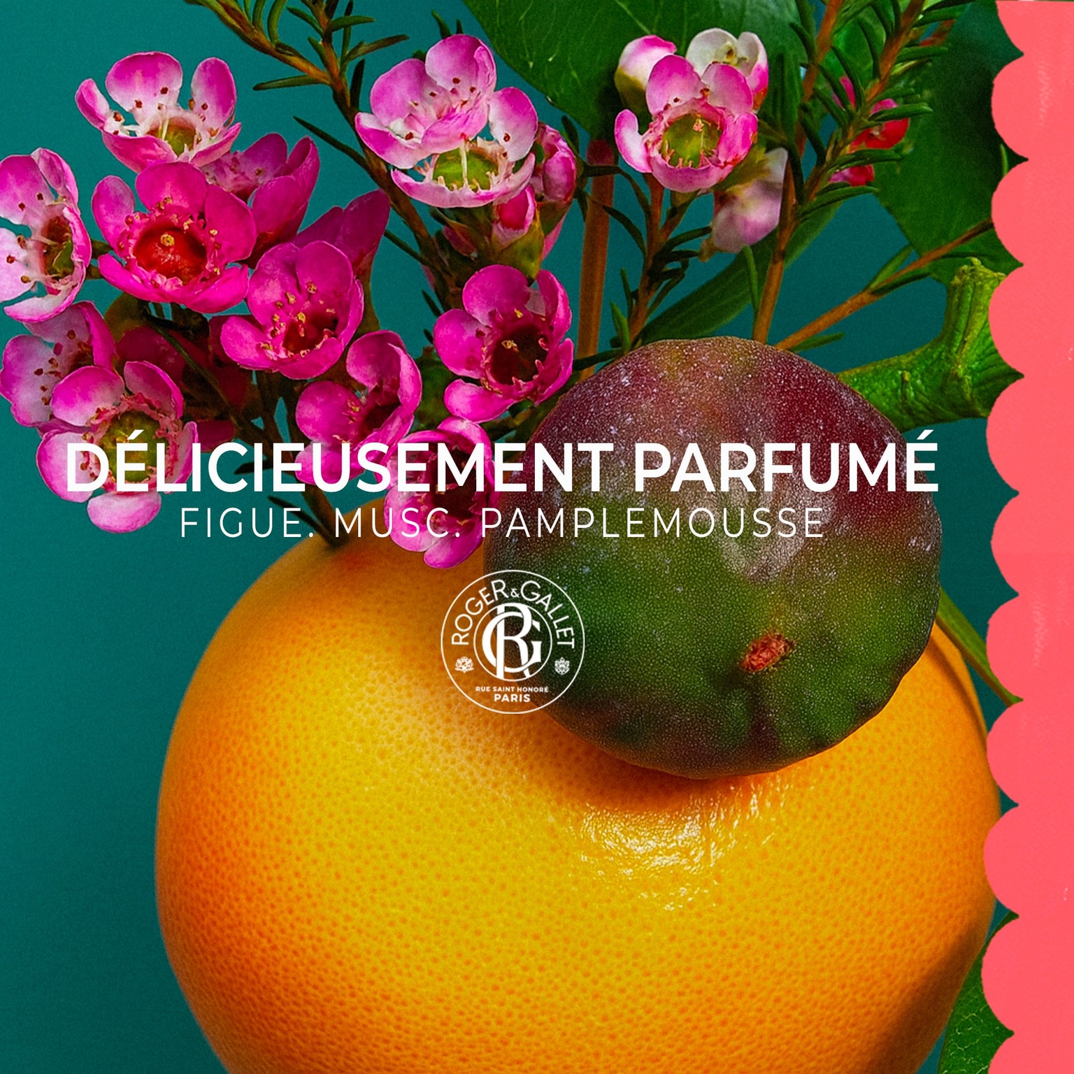 Fleur de Figuier Lait Corps Bienfaisant