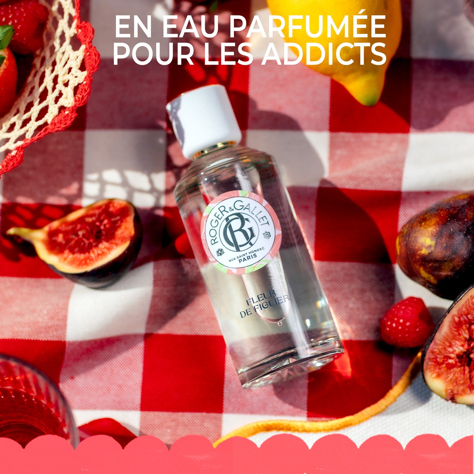 Fleur de Figuier Lait Corps Bienfaisant