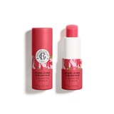 Gingembre Rouge Baume Lèvres Sublimateur