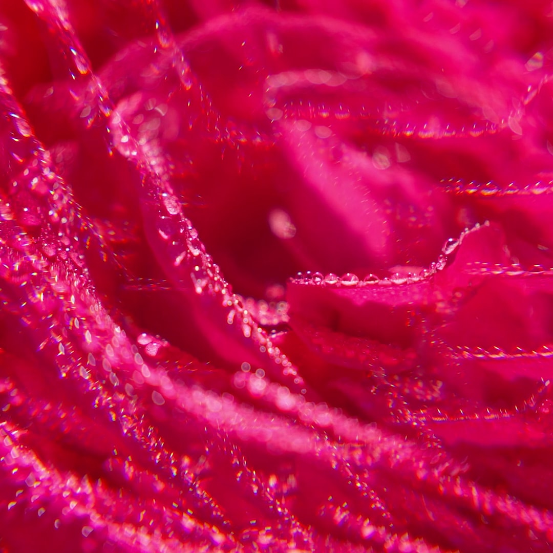 Rose Gel Douche Bienfaisant