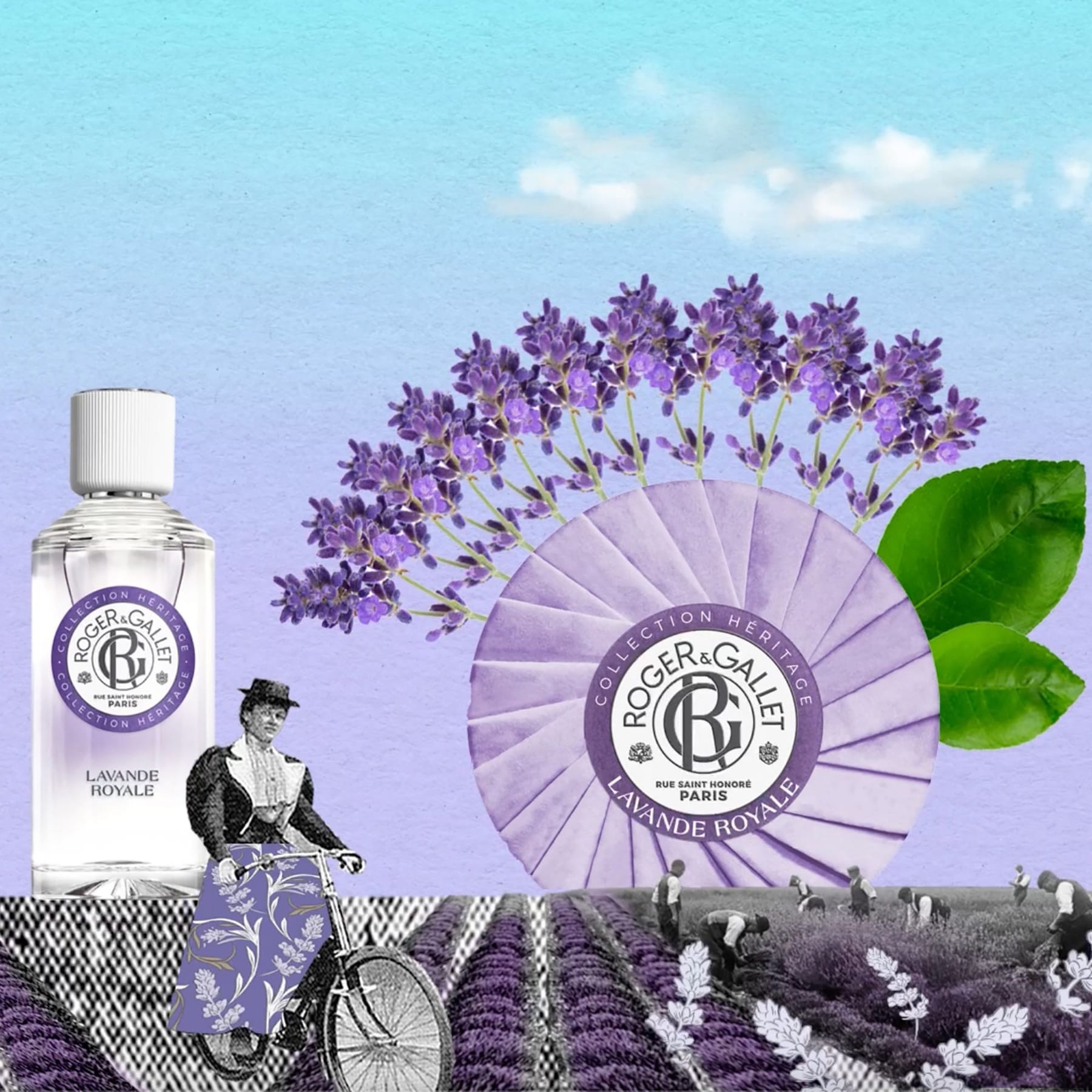Une histoire de Colognes